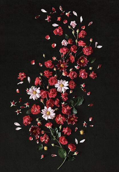 Photograph Kristina Kungurtseva Flowers on One Eyeland